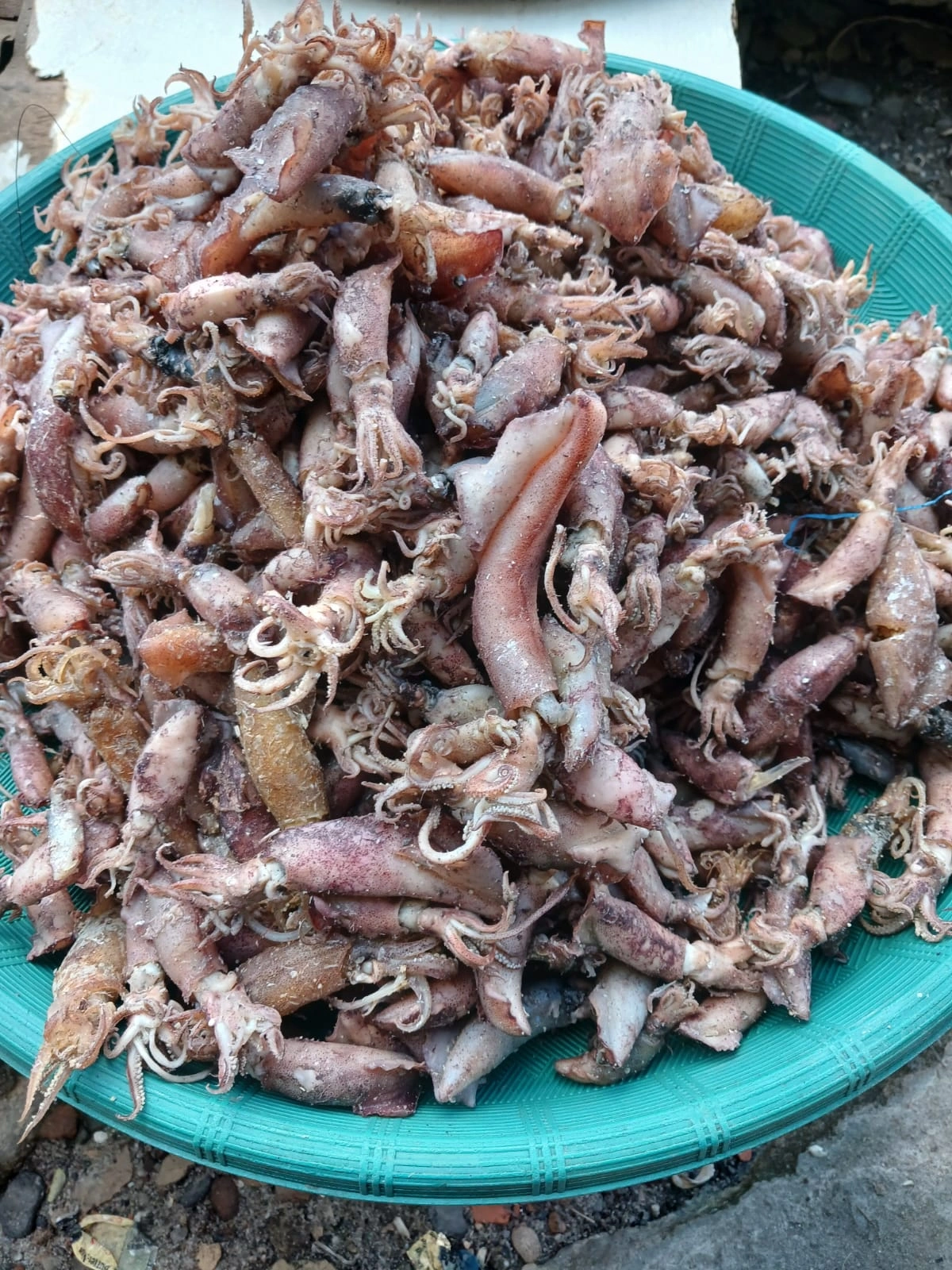 ikan asin, ikan asin Asahan, ikan asin Tanjungbalai, ikan asin Sumatera Utara, ikan asin pesisir, ikan asin khas Asahan, ikan asin khas Tanjungbalai, ikan asin nelayan, ikan asin laut, ikan asin tradisional, ikan asin kering, ikan teri asin, teri nasi asin, ikan asin tamban, ikan asin jambal, ikan asin tipis, ikan asin kepala batu, ikan asin bulu ayam, jual ikan asin, harga ikan asin, beli ikan asin, ikan asin murah, ikan asin premium, ikan asin kualitas bagus, ikan asin untuk sambal, ikan asin goreng, ikan asin untuk nasi, ikan asin lauk, ikan asin masakan rumahan, ikan asin kering matahari, ikan asin tanpa pengawet, ikan asin alami, ikan asin higienis, ikan asin awet