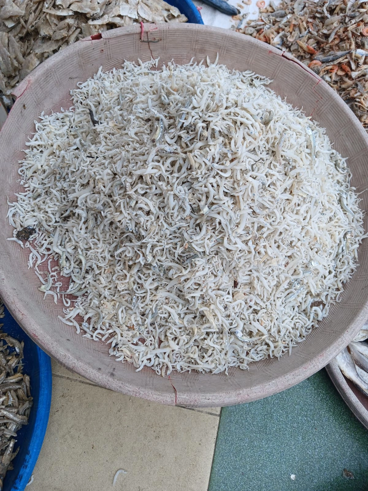 ikan asin, ikan asin Asahan, ikan asin Tanjungbalai, ikan asin Sumatera Utara, ikan asin pesisir, ikan asin khas Asahan, ikan asin khas Tanjungbalai, ikan asin nelayan, ikan asin laut, ikan asin tradisional, ikan asin kering, ikan teri asin, teri nasi asin, ikan asin tamban, ikan asin jambal, ikan asin tipis, ikan asin kepala batu, ikan asin bulu ayam, jual ikan asin, harga ikan asin, beli ikan asin, ikan asin murah, ikan asin premium, ikan asin kualitas bagus, ikan asin untuk sambal, ikan asin goreng, ikan asin untuk nasi, ikan asin lauk, ikan asin masakan rumahan, ikan asin kering matahari, ikan asin tanpa pengawet, ikan asin alami, ikan asin higienis, ikan asin awet