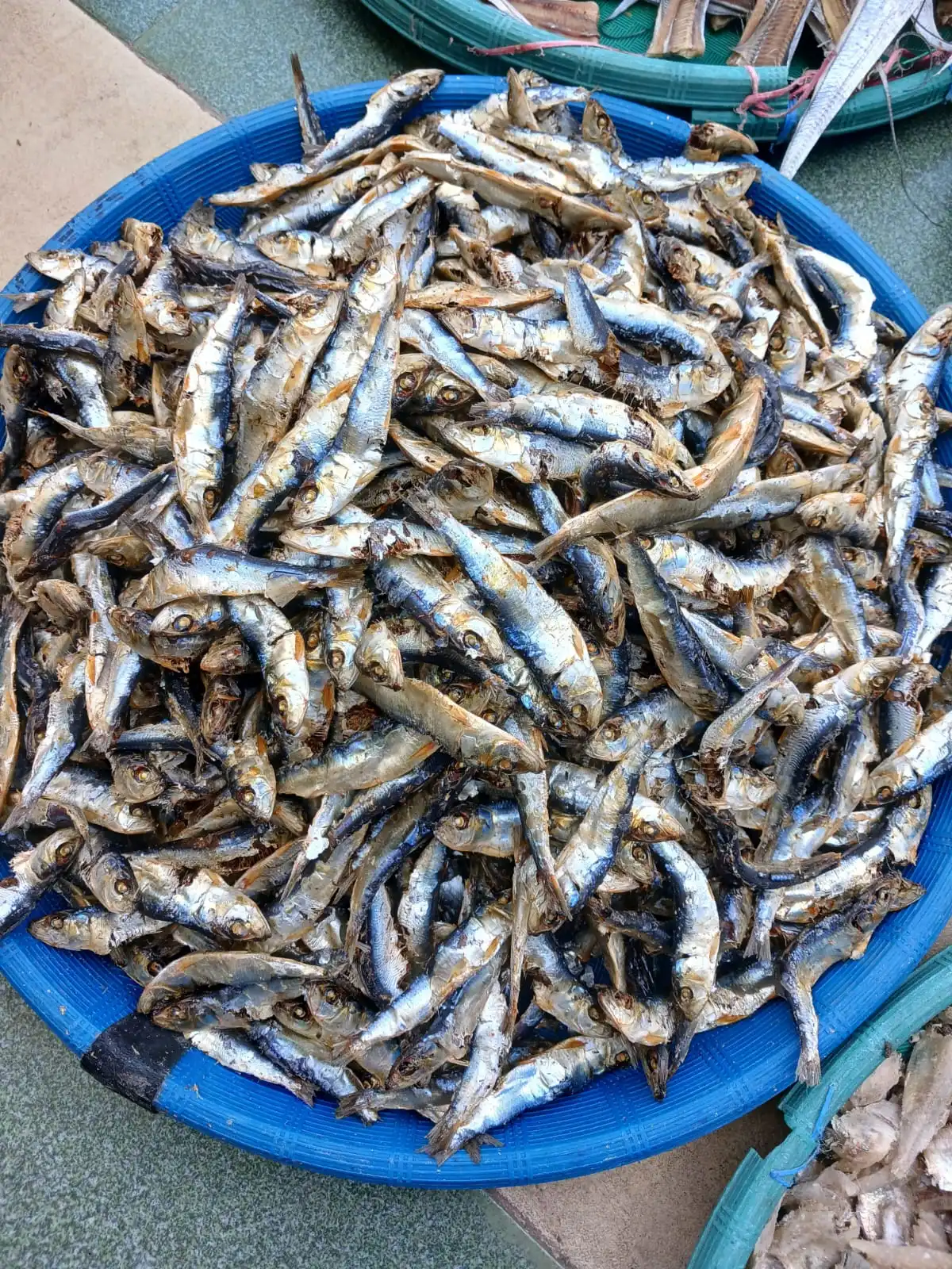 ikan asin, ikan asin Asahan, ikan asin Tanjungbalai, ikan asin Sumatera Utara, ikan asin pesisir, ikan asin khas Asahan, ikan asin khas Tanjungbalai, ikan asin nelayan, ikan asin laut, ikan asin tradisional, ikan asin kering, ikan teri asin, teri nasi asin, ikan asin tamban, ikan asin jambal, ikan asin tipis, ikan asin kepala batu, ikan asin bulu ayam, jual ikan asin, harga ikan asin, beli ikan asin, ikan asin murah, ikan asin premium, ikan asin kualitas bagus, ikan asin untuk sambal, ikan asin goreng, ikan asin untuk nasi, ikan asin lauk, ikan asin masakan rumahan, ikan asin kering matahari, ikan asin tanpa pengawet, ikan asin alami, ikan asin higienis, ikan asin awet