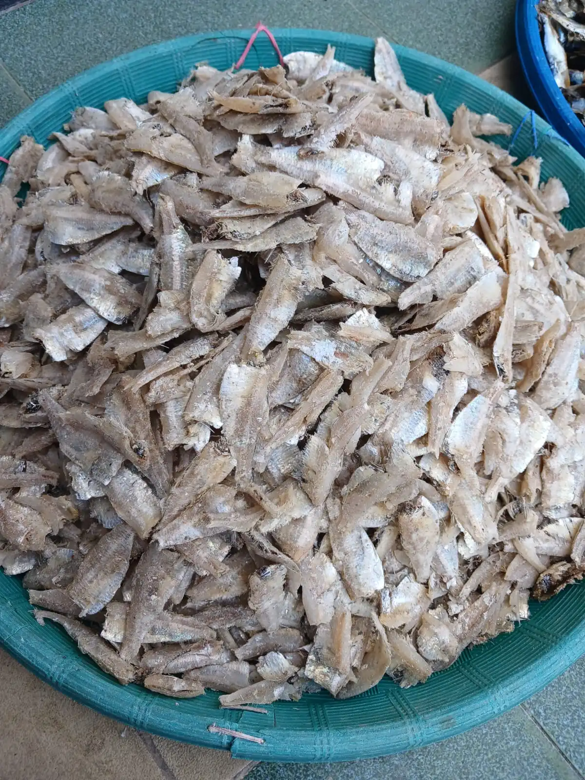 ikan asin, ikan asin Asahan, ikan asin Tanjungbalai, ikan asin Sumatera Utara, ikan asin pesisir, ikan asin khas Asahan, ikan asin khas Tanjungbalai, ikan asin nelayan, ikan asin laut, ikan asin tradisional, ikan asin kering, ikan teri asin, teri nasi asin, ikan asin tamban, ikan asin jambal, ikan asin tipis, ikan asin kepala batu, ikan asin bulu ayam, jual ikan asin, harga ikan asin, beli ikan asin, ikan asin murah, ikan asin premium, ikan asin kualitas bagus, ikan asin untuk sambal, ikan asin goreng, ikan asin untuk nasi, ikan asin lauk, ikan asin masakan rumahan, ikan asin kering matahari, ikan asin tanpa pengawet, ikan asin alami, ikan asin higienis, ikan asin awet