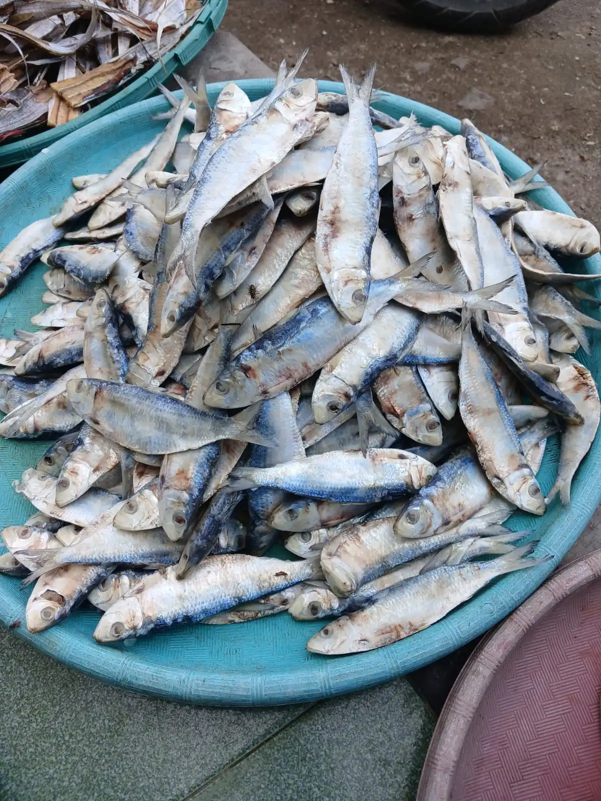ikan asin, ikan asin Asahan, ikan asin Tanjungbalai, ikan asin Sumatera Utara, ikan asin pesisir, ikan asin khas Asahan, ikan asin khas Tanjungbalai, ikan asin nelayan, ikan asin laut, ikan asin tradisional, ikan asin kering, ikan teri asin, teri nasi asin, ikan asin tamban, ikan asin jambal, ikan asin tipis, ikan asin kepala batu, ikan asin bulu ayam, jual ikan asin, harga ikan asin, beli ikan asin, ikan asin murah, ikan asin premium, ikan asin kualitas bagus, ikan asin untuk sambal, ikan asin goreng, ikan asin untuk nasi, ikan asin lauk, ikan asin masakan rumahan, ikan asin kering matahari, ikan asin tanpa pengawet, ikan asin alami, ikan asin higienis, ikan asin awet