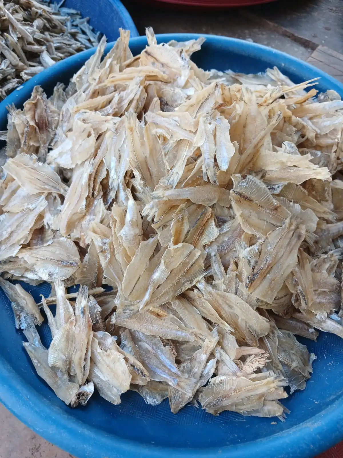 ikan asin, ikan asin Asahan, ikan asin Tanjungbalai, ikan asin Sumatera Utara, ikan asin pesisir, ikan asin khas Asahan, ikan asin khas Tanjungbalai, ikan asin nelayan, ikan asin laut, ikan asin tradisional, ikan asin kering, ikan teri asin, teri nasi asin, ikan asin tamban, ikan asin jambal, ikan asin tipis, ikan asin kepala batu, ikan asin bulu ayam, jual ikan asin, harga ikan asin, beli ikan asin, ikan asin murah, ikan asin premium, ikan asin kualitas bagus, ikan asin untuk sambal, ikan asin goreng, ikan asin untuk nasi, ikan asin lauk, ikan asin masakan rumahan, ikan asin kering matahari, ikan asin tanpa pengawet, ikan asin alami, ikan asin higienis, ikan asin awet